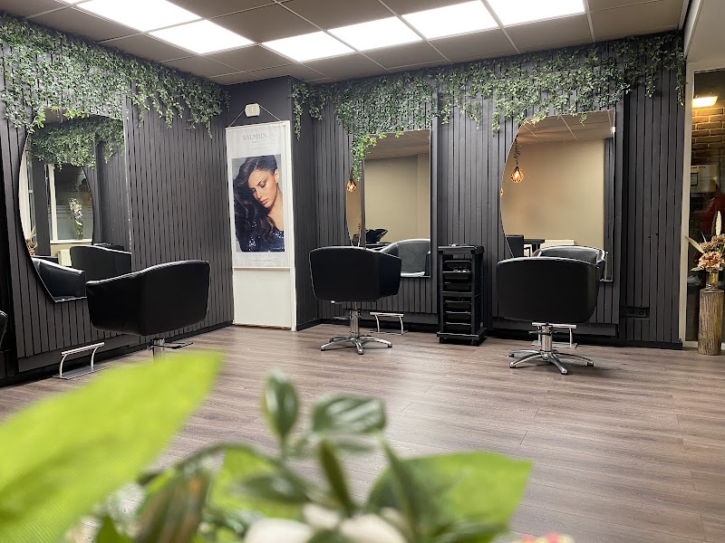 De salon aan de Grotestraat: zwarte houten wanden met boogspiegels, hangende klimop en warme lampen boven een houten vloer.